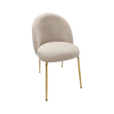  Dining Chairs C13
